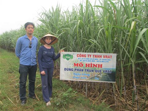 Mô hình phân bón cho cây Mía - nông trường Sông Âm