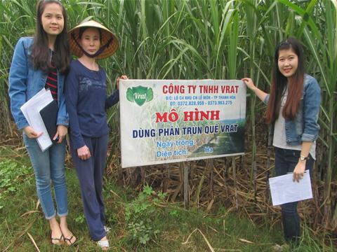 Mô hình phân bón cho cây Mía - nông trường Sông Âm