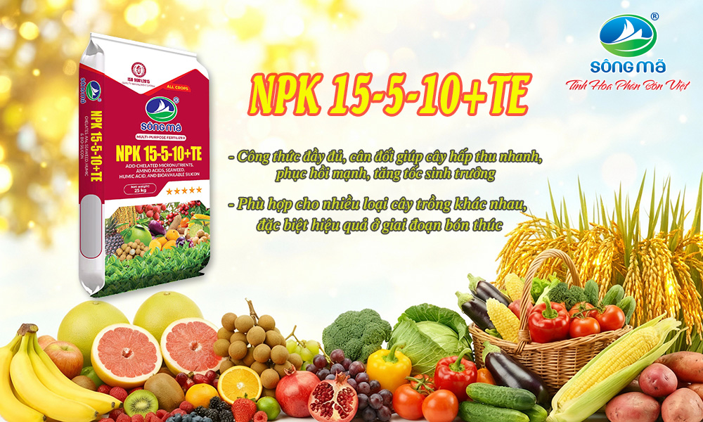 Giải pháp bón thúc hiệu quả với NPK Sông Mã 15-5-10+TE