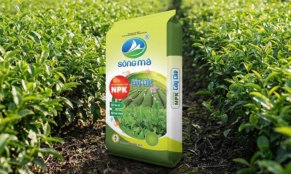 NPK Sông Mã chuyên dùng cho cây chè – công thức bón phân giúp chè khỏe, búp đều, năng suất cao
