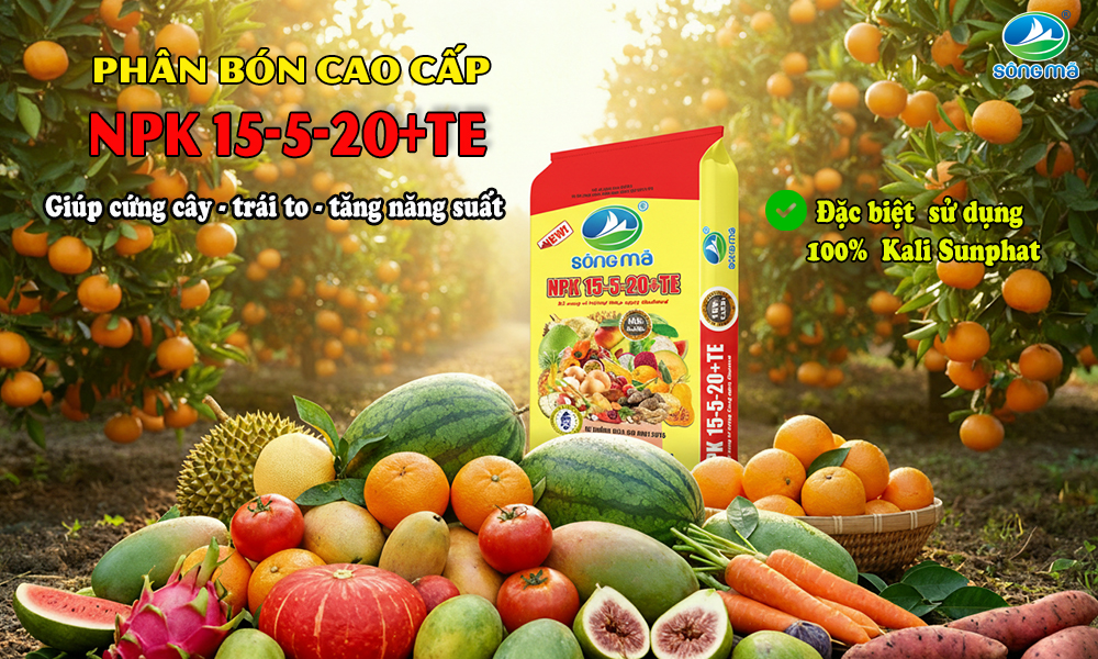 Phân bón Sông Mã NPK 15-5-20+TE – Giúp cây cứng thân, trái to và nâng cao năng suất 