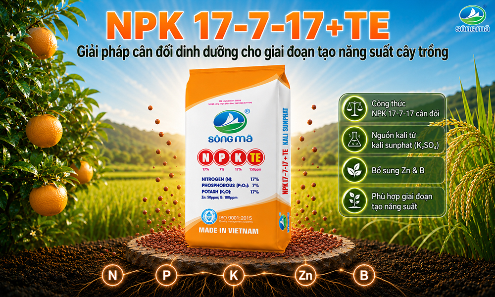 NPK 17-7-17+TE – Giải pháp cân đối dinh dưỡng cho giai đoạn tạo năng suất cây trồng