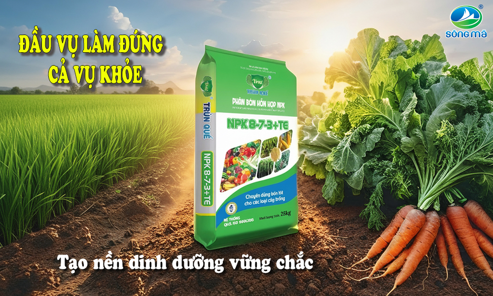 Phân bón NPK 8-7-3+TE Trùn Quế: Tăng độ phì đất – giúp cây phát triển ngay từ đầu vụ