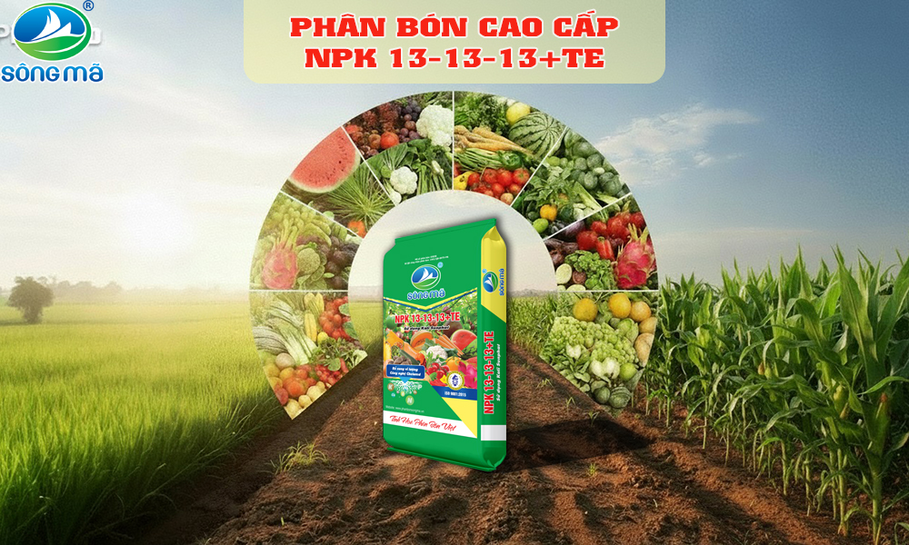 NPK 13-13-13+TE Sông Mã là gì? Giải pháp dinh dưỡng cân bằng giúp cây phát triển đồng đều