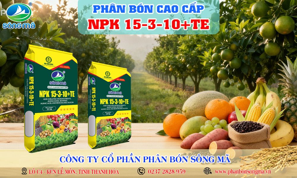 NPK 15-3-10+TE Sông Mã là gì? Giải pháp giúp cây phát triển mạnh sau khi bén rễ