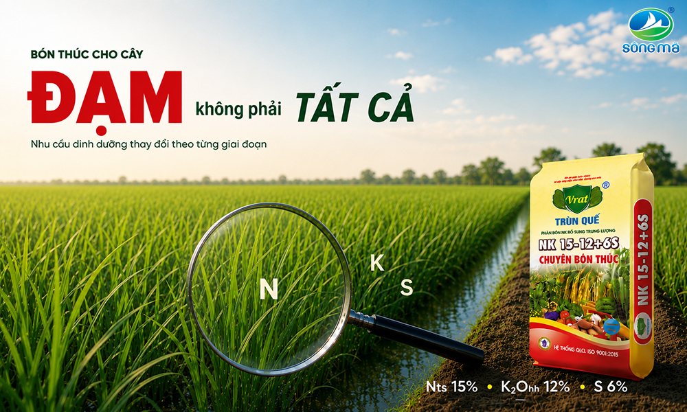 Bón thúc cho cây: Vì sao không nên chỉ tập trung vào đạm?