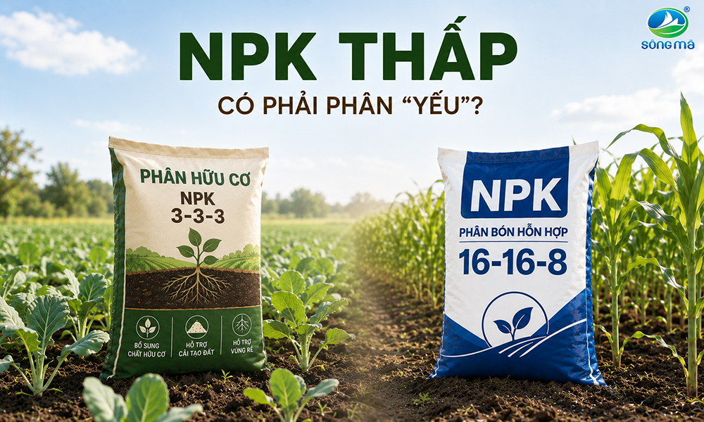 Hữu cơ có NPK thấp: Nhìn ba số rồi kết luận “yếu” được không?