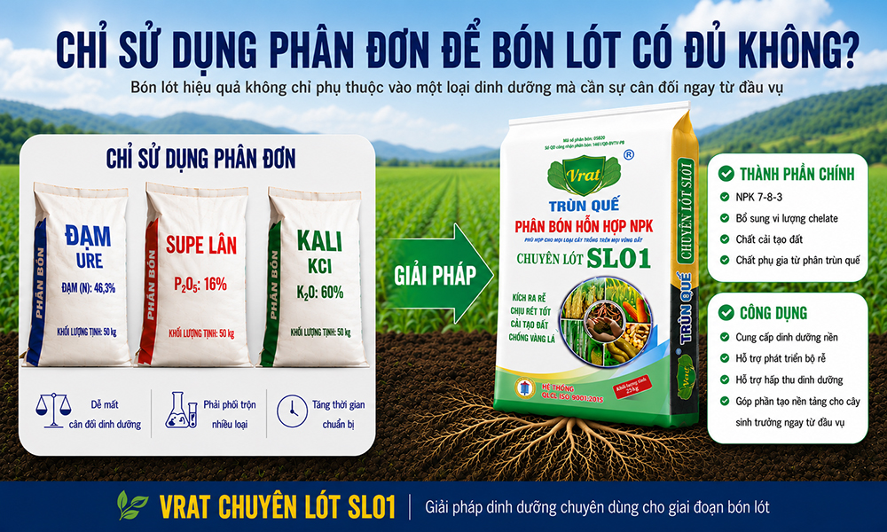 Có nên chỉ sử dụng phân đơn để bón lót?