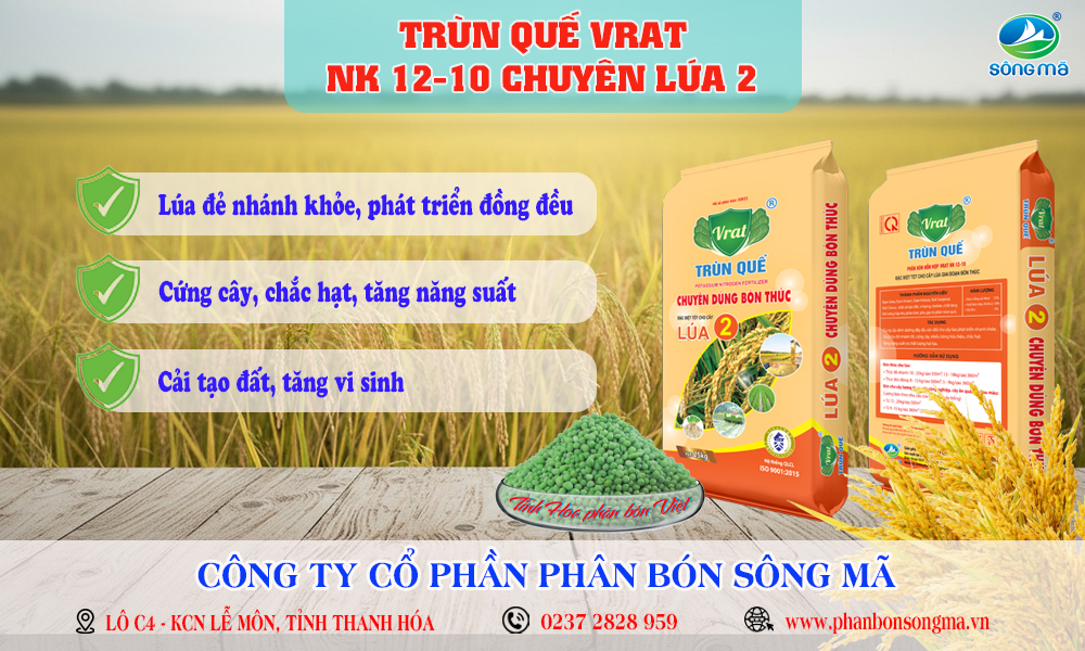 Phân bón thúc lúa nên chọn loại nào để đạt hiệu quả cao?