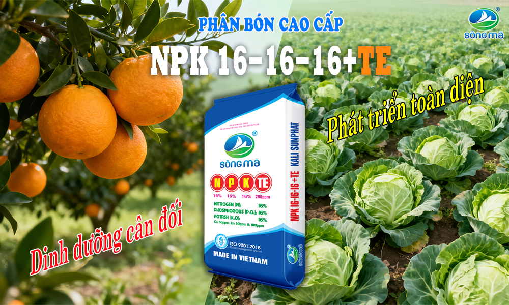 Phân bón Sông Mã NPK 16-16-16+TE – Công dụng và hướng dẫn sử dụng hiệu quả cho cây trồng